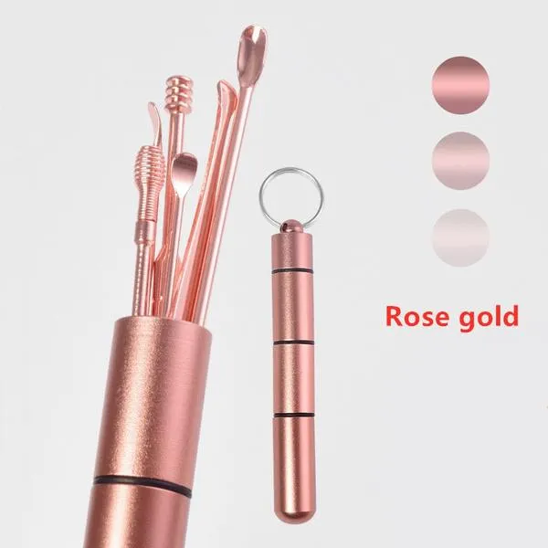 6-Piece: Portable Stainless Steel Ear Pick Set