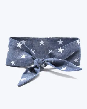 Stargazing Pet Necktie